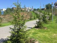 Формирование современной городской среды.