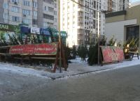 Площадки для продажи хвойных деревьев в преддверии Нового Года откроются в каждом районе Волгограда