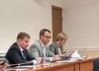 Участие в заседаниях профильных комитетов ВГД.