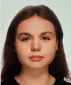 Сводно-аналитическая инспекция
